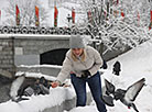 铺满雪的明斯克