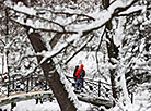 Minsk blanketed in snow