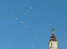 Вадохрышча ў Беларусі 