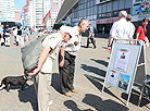 Campaign to collect presidential ballot nomination signatures gets underway in Belarus