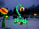 Festival of lanterns at Botanical Garden in Minsk