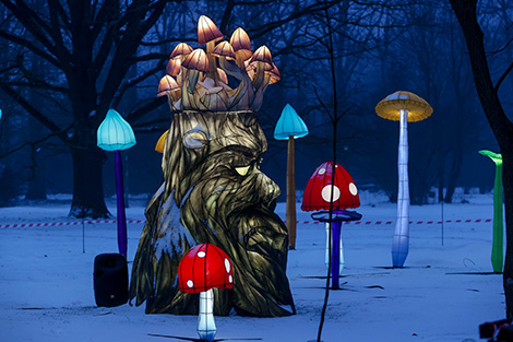 Festival of lanterns at Botanical Garden in Minsk