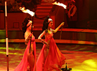 Gomel Circus presents new show