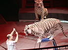 Gomel Circus presents new show