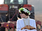 Праздник первой борозды в Добрушском районе