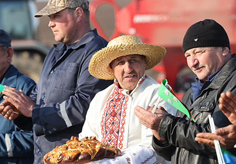 Праздник первой борозды в Добрушском районе