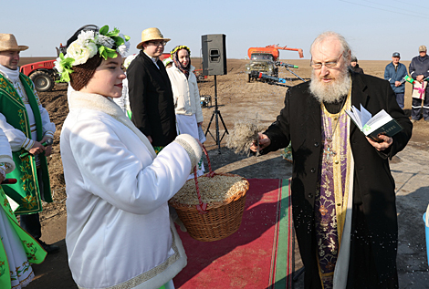 Праздник первой борозды в Добрушском районе