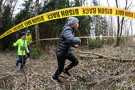 Bison Trail run in Silichy