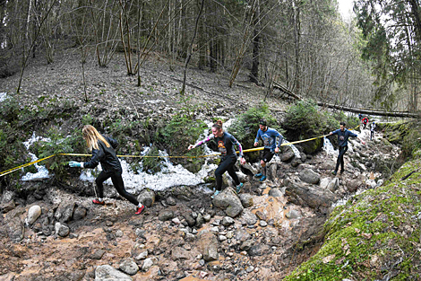 Забег Bison Trail в Силичах 