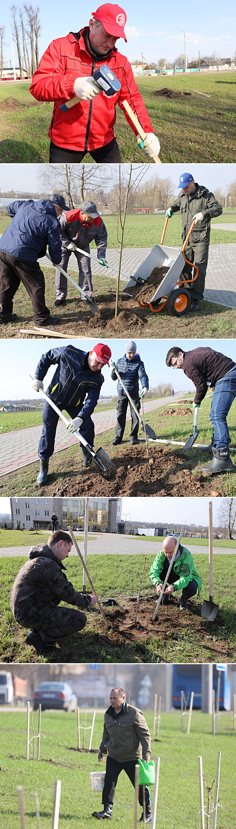 В Витебске во время субботника заложили новый парк