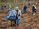 Сотрудники Администрации Президента во время посадки леса в Логойском лесхозе