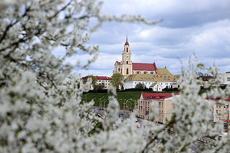 Blossoming May: Beauty and romance of spring in Belarus