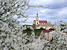 Blossoming May: Beauty and romance of spring in Belarus