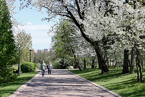 Springtime in Loshitsa Park in Minsk