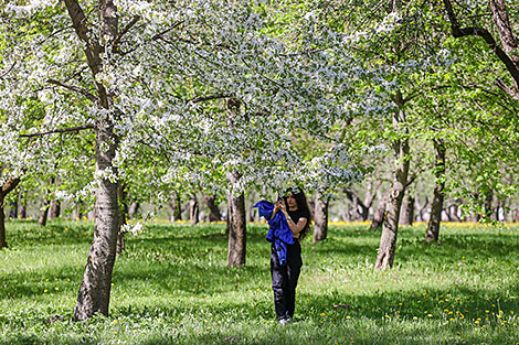 Springtime in Loshitsa Park in Minsk