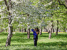 Springtime in Loshitsa Park in Minsk