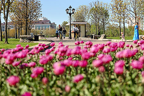 Tulips in Loshitsa Park in Minsk