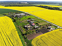 Belarus’ Best Photos in May 2021