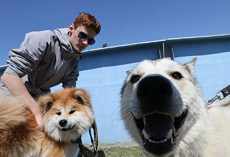 Exhibition of hunting dogs in Gomel