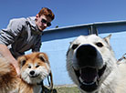 Exhibition of hunting dogs in Gomel