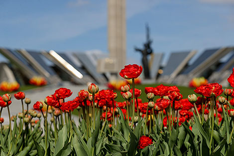 Тюльпаны у Музея истории Великой Отечественной войны в Минске
