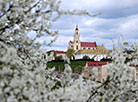 Grodno in Bloom