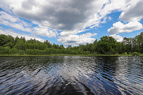 BELARUSIAN NATURE: Unique and astonishing Belovezhskaya Pushcha