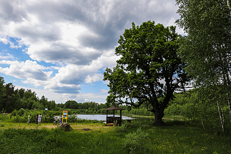 Belovezhskaya Pushcha