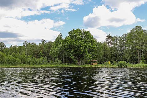 Lake Plyanta