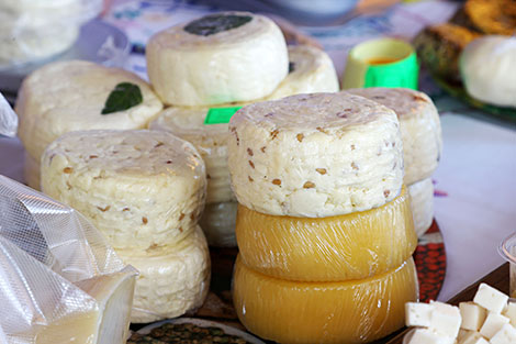 Cheese festival in Slavgorod District