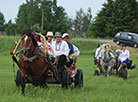 Haymaking festival in Ivye District