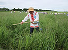 Haymaking festival in Ivye District