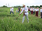 Haymaking festival in Ivye District