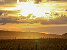 Sunset over a field in the Smolevichi district