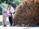 Linen Merry-Go-Round 2021 Festival