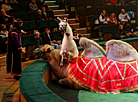 Belarusian State Circus presents new show