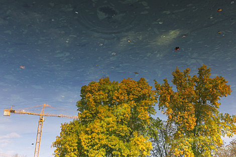 Отражение дерева в реке Свислочь 