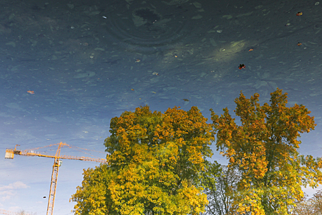 Reflection of a tree in the Svisloch River