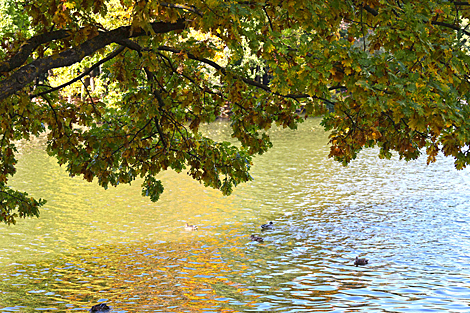 Autumn day in a Minsk park