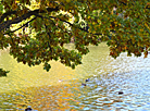 Autumn day in a Minsk park