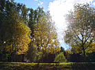 Autumn day in a Minsk park