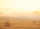 Harvested fields in Volozhin District