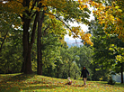 Autumn day in Grodno