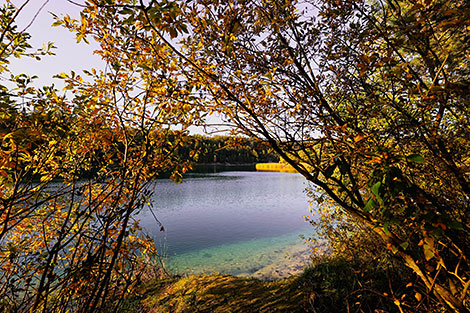 Autumn at the Lyuban chalk pit