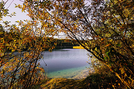 Осень на Любанском карьере