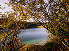 Autumn at the Lyuban chalk pit