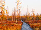 Yelnya reserve in autumn