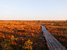 Yelnya reserve in autumn