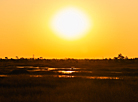 Yelnya reserve in autumn