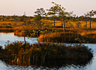 Yelnya reserve in autumn